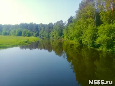 Отличный участок 75 соток под дом в сказочном месте фото 8